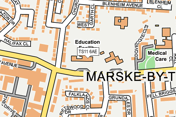 TS11 6AE map - OS OpenMap – Local (Ordnance Survey)