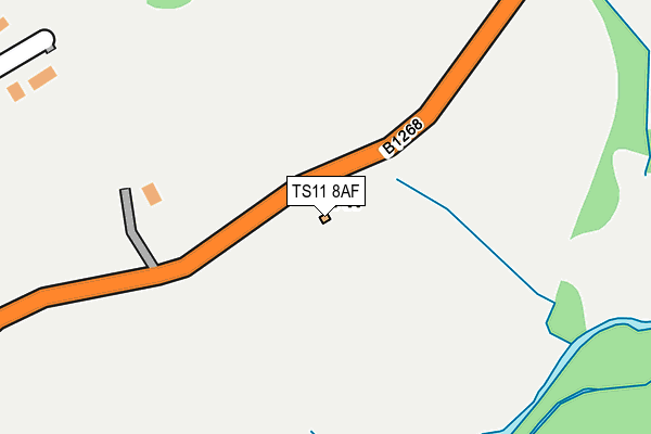 TS11 8AF map - OS OpenMap – Local (Ordnance Survey)