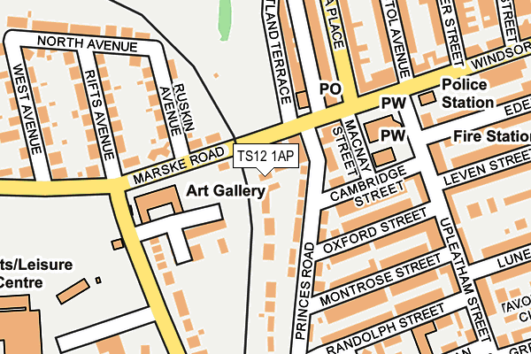 TS12 1AP map - OS OpenMap – Local (Ordnance Survey)