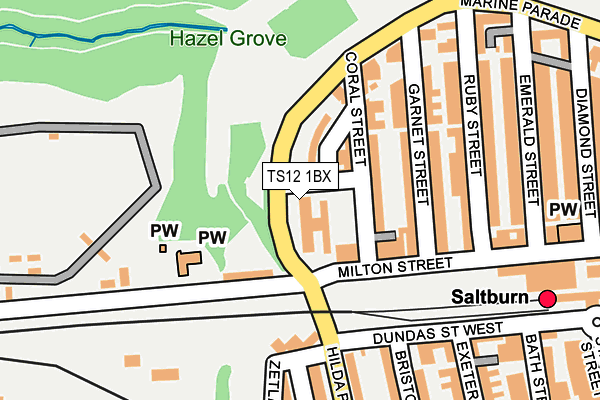 TS12 1BX map - OS OpenMap – Local (Ordnance Survey)