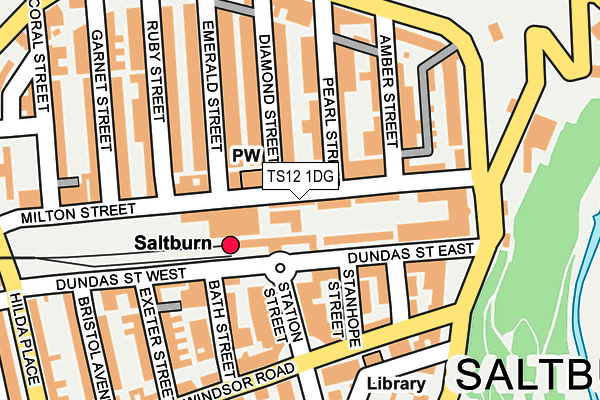 TS12 1DG map - OS OpenMap – Local (Ordnance Survey)