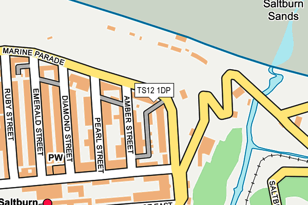 TS12 1DP map - OS OpenMap – Local (Ordnance Survey)