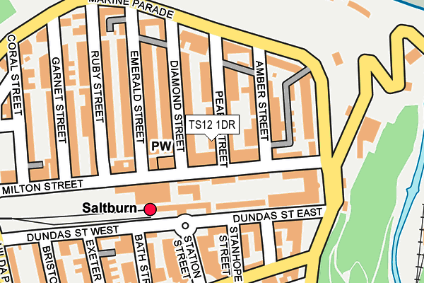 TS12 1DR map - OS OpenMap – Local (Ordnance Survey)