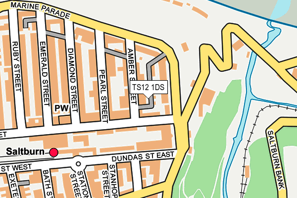 TS12 1DS map - OS OpenMap – Local (Ordnance Survey)