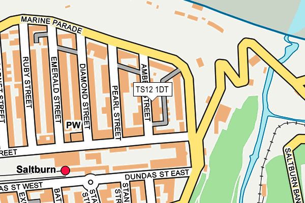 TS12 1DT map - OS OpenMap – Local (Ordnance Survey)