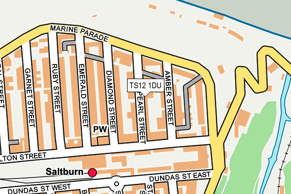 TS12 1DU map - OS OpenMap – Local (Ordnance Survey)