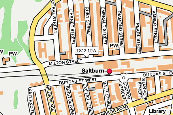 TS12 1DW map - OS OpenMap – Local (Ordnance Survey)