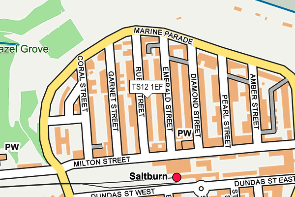 TS12 1EF map - OS OpenMap – Local (Ordnance Survey)