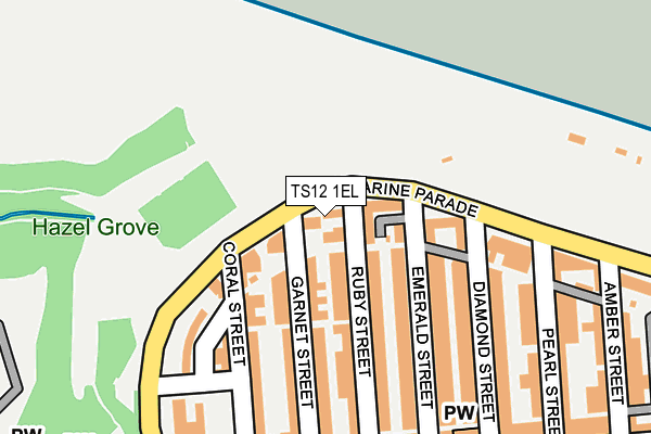 TS12 1EL map - OS OpenMap – Local (Ordnance Survey)