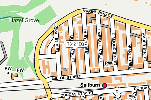 TS12 1EQ map - OS OpenMap – Local (Ordnance Survey)