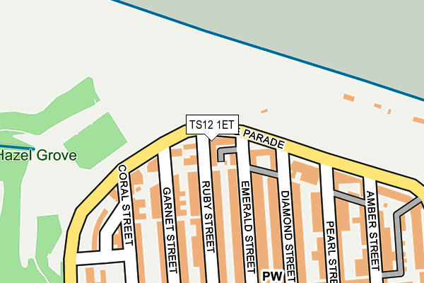 TS12 1ET map - OS OpenMap – Local (Ordnance Survey)