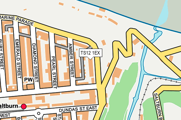 TS12 1EX map - OS OpenMap – Local (Ordnance Survey)