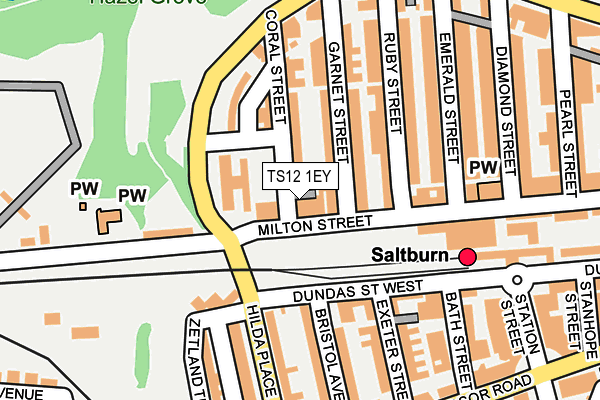 TS12 1EY map - OS OpenMap – Local (Ordnance Survey)