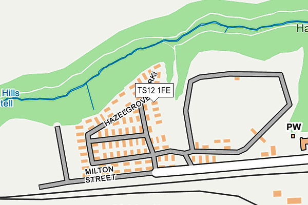 TS12 1FE map - OS OpenMap – Local (Ordnance Survey)