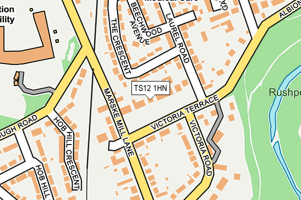 TS12 1HN map - OS OpenMap – Local (Ordnance Survey)