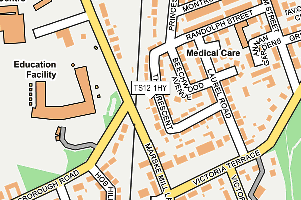 TS12 1HY map - OS OpenMap – Local (Ordnance Survey)