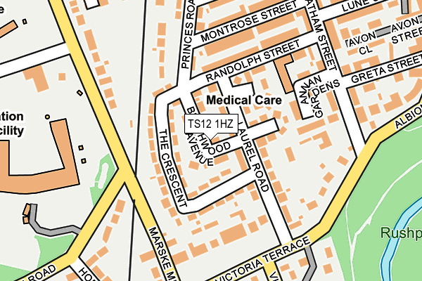 TS12 1HZ map - OS OpenMap – Local (Ordnance Survey)