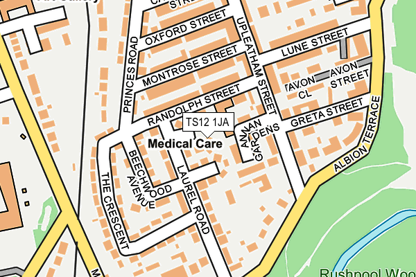 TS12 1JA map - OS OpenMap – Local (Ordnance Survey)