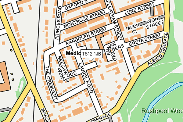 TS12 1JB map - OS OpenMap – Local (Ordnance Survey)