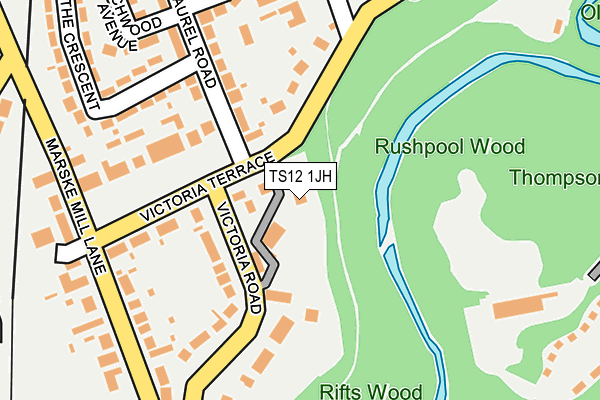 TS12 1JH map - OS OpenMap – Local (Ordnance Survey)