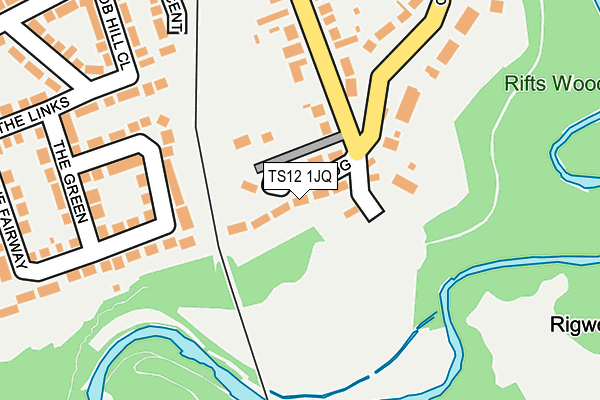 TS12 1JQ map - OS OpenMap – Local (Ordnance Survey)