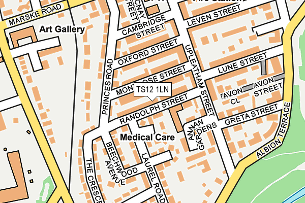 TS12 1LN map - OS OpenMap – Local (Ordnance Survey)