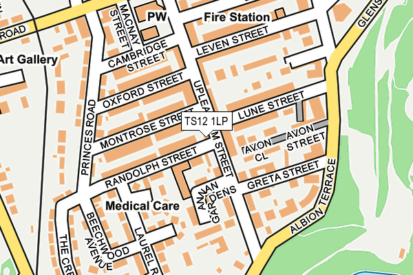 TS12 1LP map - OS OpenMap – Local (Ordnance Survey)