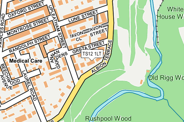 TS12 1LT map - OS OpenMap – Local (Ordnance Survey)