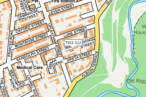 TS12 1LU map - OS OpenMap – Local (Ordnance Survey)