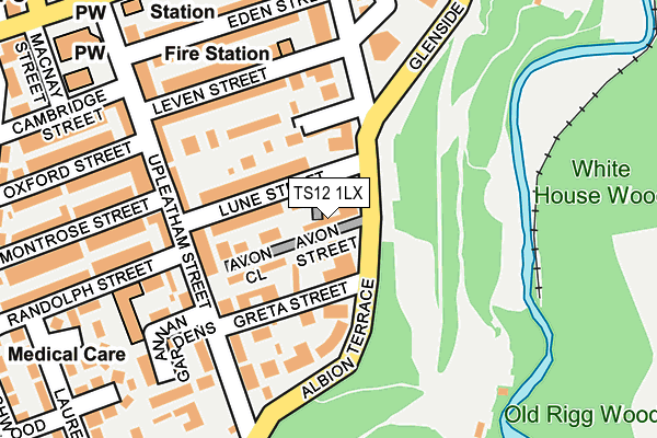 TS12 1LX map - OS OpenMap – Local (Ordnance Survey)