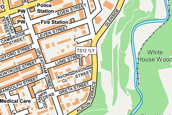 TS12 1LY map - OS OpenMap – Local (Ordnance Survey)