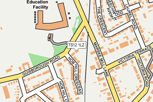 TS12 1LZ map - OS OpenMap – Local (Ordnance Survey)