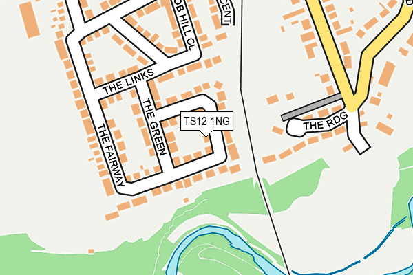TS12 1NG map - OS OpenMap – Local (Ordnance Survey)