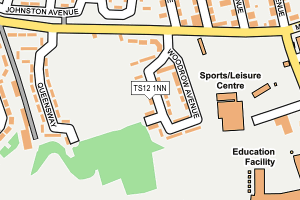 TS12 1NN map - OS OpenMap – Local (Ordnance Survey)