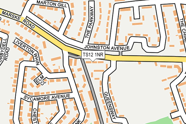 TS12 1NR map - OS OpenMap – Local (Ordnance Survey)