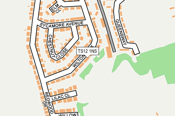 TS12 1NS map - OS OpenMap – Local (Ordnance Survey)