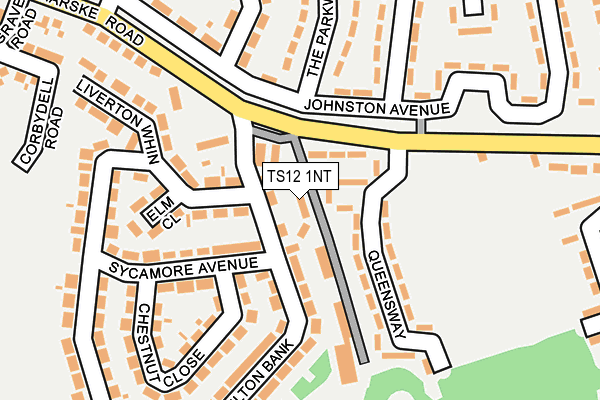 TS12 1NT map - OS OpenMap – Local (Ordnance Survey)