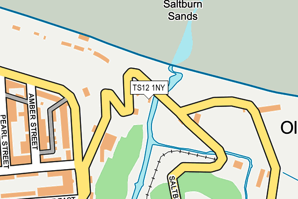 TS12 1NY map - OS OpenMap – Local (Ordnance Survey)