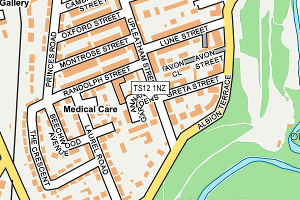 TS12 1NZ map - OS OpenMap – Local (Ordnance Survey)