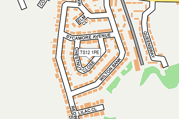 TS12 1PE map - OS OpenMap – Local (Ordnance Survey)