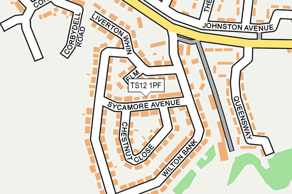 TS12 1PF map - OS OpenMap – Local (Ordnance Survey)