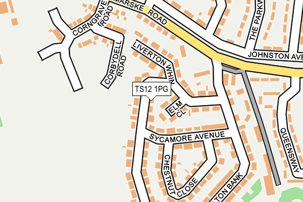 TS12 1PG map - OS OpenMap – Local (Ordnance Survey)