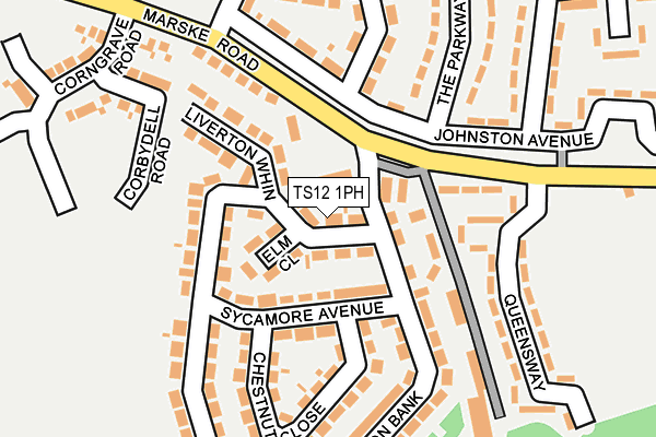 TS12 1PH map - OS OpenMap – Local (Ordnance Survey)
