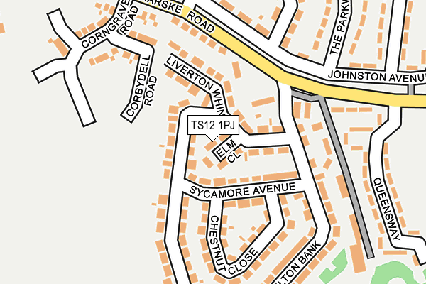 TS12 1PJ map - OS OpenMap – Local (Ordnance Survey)