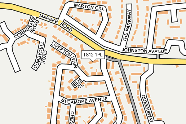 TS12 1PL map - OS OpenMap – Local (Ordnance Survey)