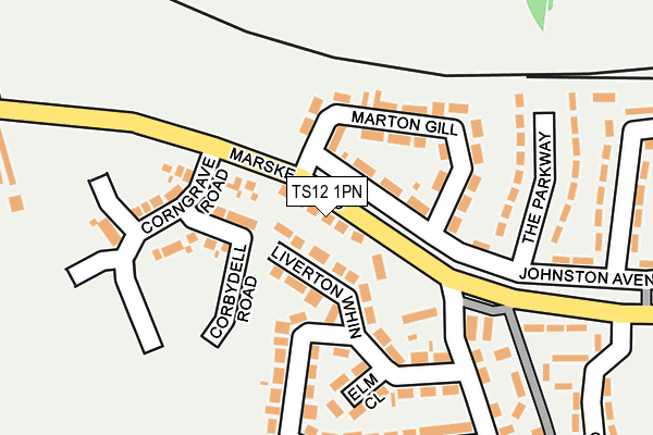 TS12 1PN map - OS OpenMap – Local (Ordnance Survey)