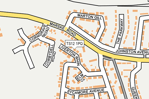 TS12 1PQ map - OS OpenMap – Local (Ordnance Survey)