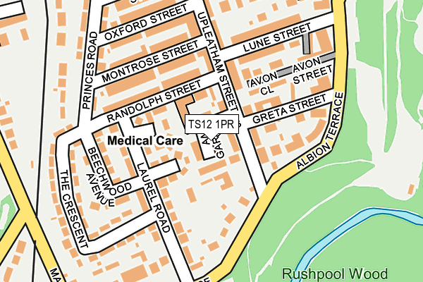 TS12 1PR map - OS OpenMap – Local (Ordnance Survey)