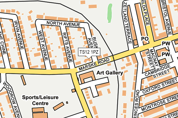 TS12 1PZ map - OS OpenMap – Local (Ordnance Survey)