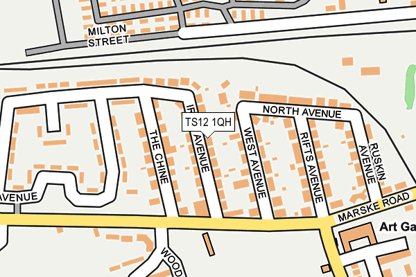 TS12 1QH map - OS OpenMap – Local (Ordnance Survey)